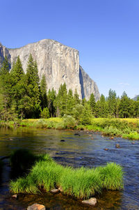 Scenic view of lake against clear blue sky