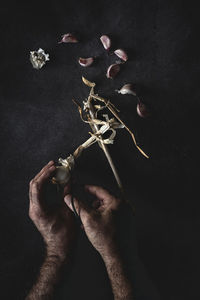 Close-up of hand holding plant against black background