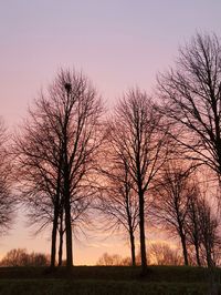 Silhouette trees against sky during sunset