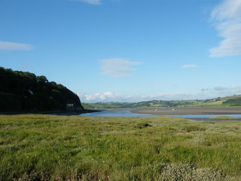 Scenic view of beach against blue sky