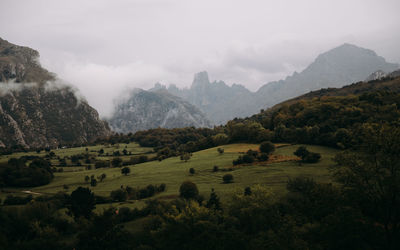 Scenic view of landscape with mountain in the background