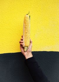 Person holding corn against wall