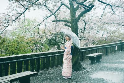 Portrait of woman wearing kimono with umbrella against trees