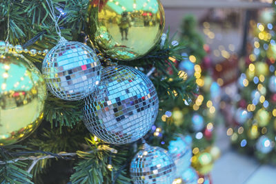 Close-up of christmas tree