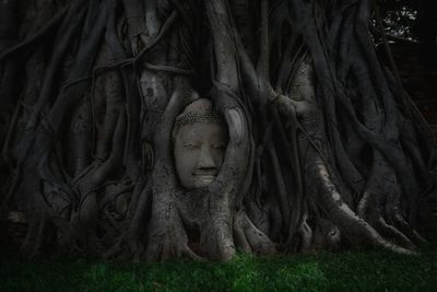 Statue of buddha against trees