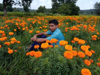 Young man resting amidst marigolds on field