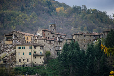 Buildings and trees in forest