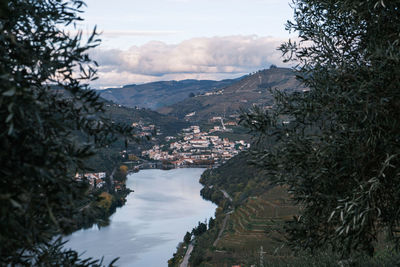 Scenic view of river amidst trees against sky