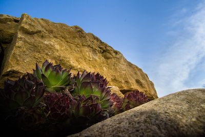 Low angle view of rock formation against sky