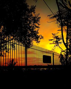 Silhouette of bare trees at sunset