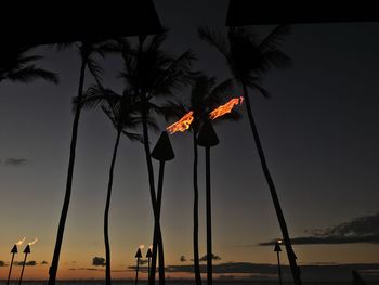 Low angle view of palm trees against sky during sunset