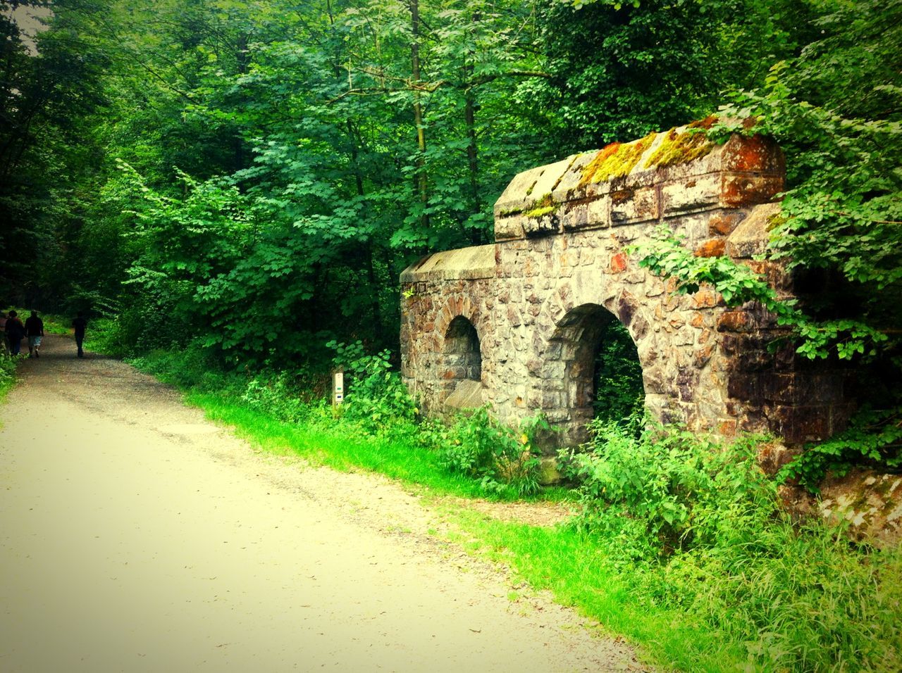 architecture, built structure, tree, building exterior, history, old, arch, old ruin, the past, ancient, stone wall, grass, day, outdoors, travel destinations, abandoned, sky, no people, wall - building feature, green color