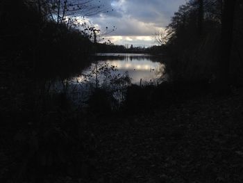 Reflection of trees in lake