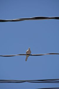 Low angle view of power lines against clear blue sky