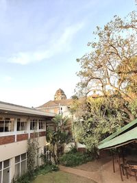 Footpath amidst trees and buildings against sky