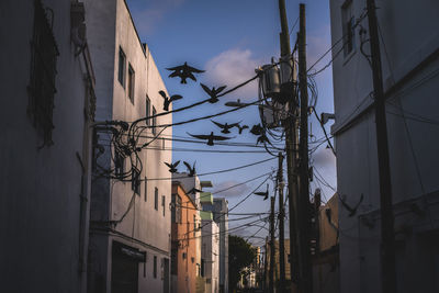 Low angle view of electricity pylon by buildings against sky