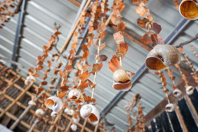 Low angle view of light bulbs hanging from ceiling