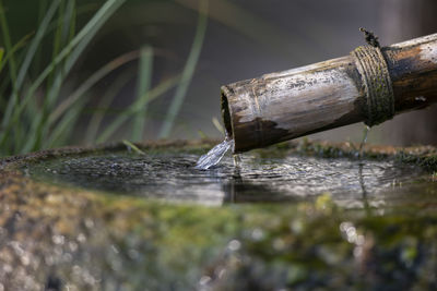 Close-up of water pipe on wood