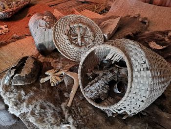 High angle view of lizard in basket