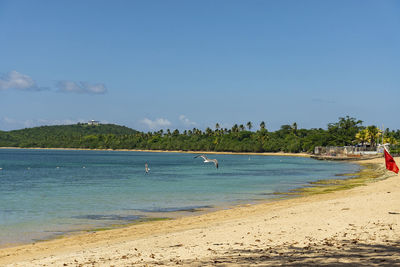 Scenic view of beach against blue sky