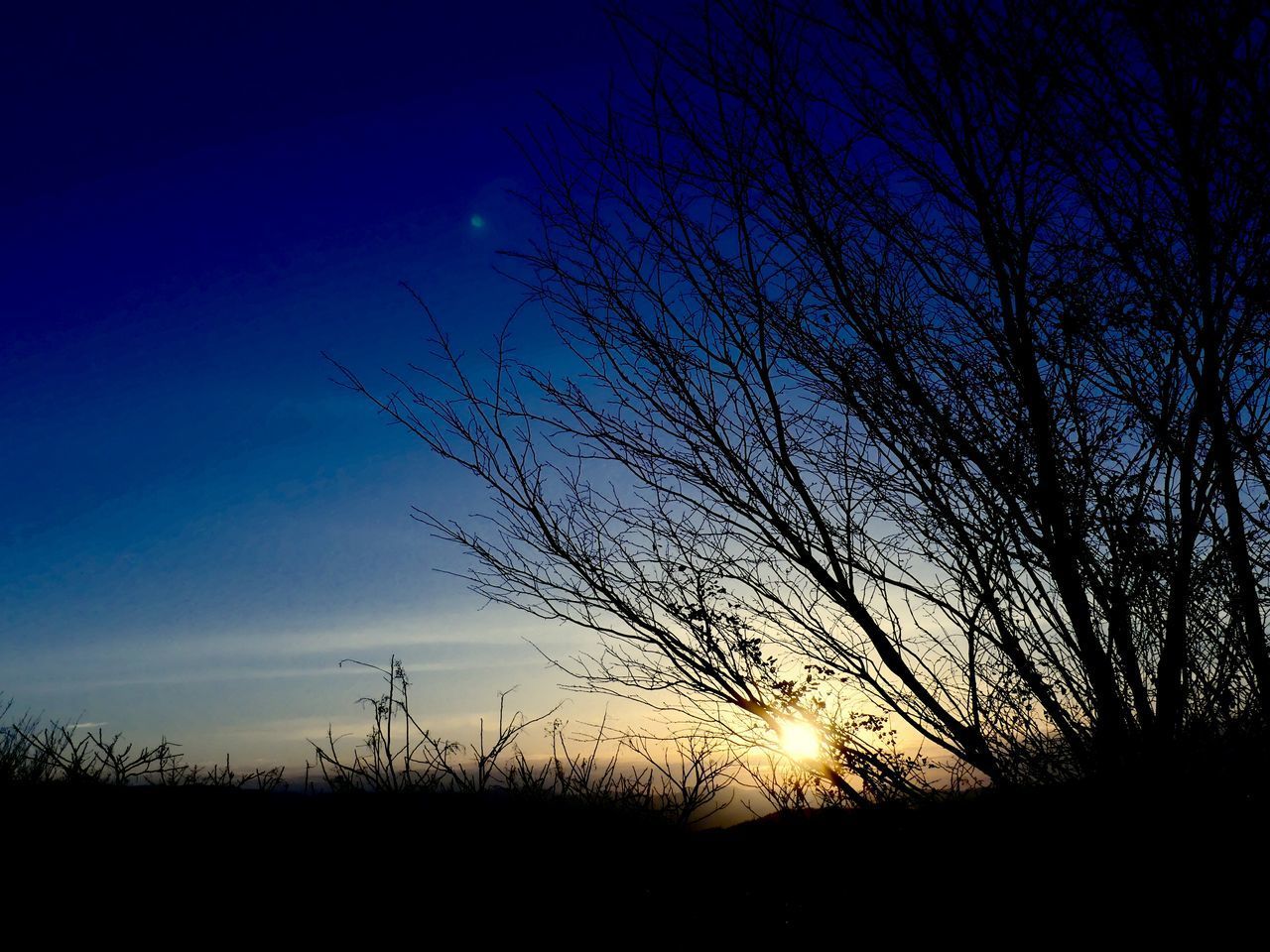 SILHOUETTE OF BARE TREES AGAINST SKY DURING SUNSET