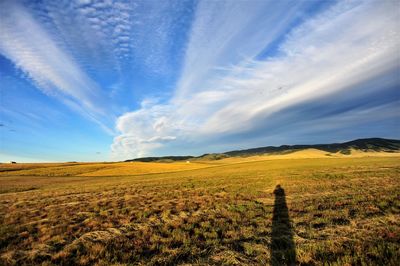 Scenic view of agricultural field against sky