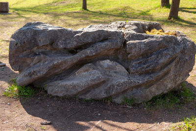 Close-up of rocks on field