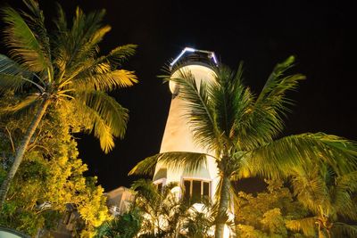 Low angle view of palm trees against sky at night