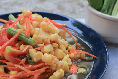 Close-up of food in plate