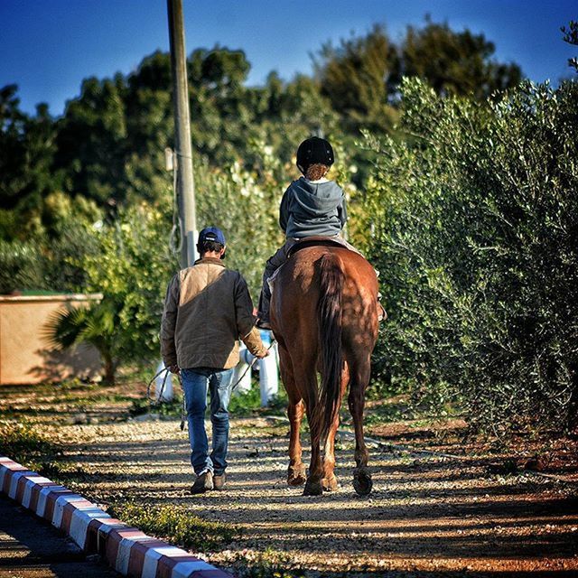 full length, rear view, domestic animals, men, animal themes, lifestyles, walking, tree, togetherness, horse, leisure activity, mammal, casual clothing, one animal, horseback riding, the way forward, person