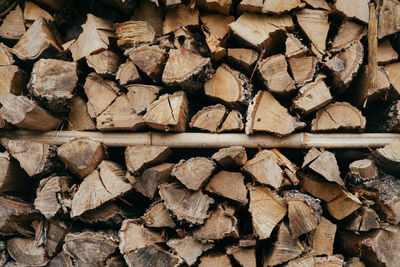 Stack of logs in forest