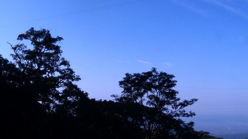 Low angle view of silhouette trees against blue sky