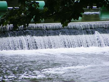 View of trees