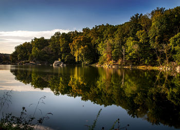 Scenic view of lake by trees against sky