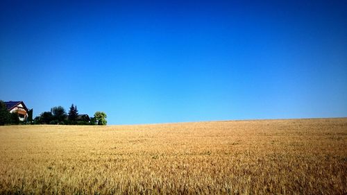 Scenic view of landscape against clear blue sky