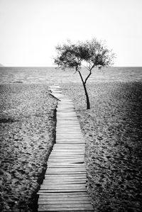 View of boardwalk leading towards sea