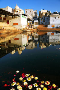 Flowers floating in pushkar lake with reflection of house