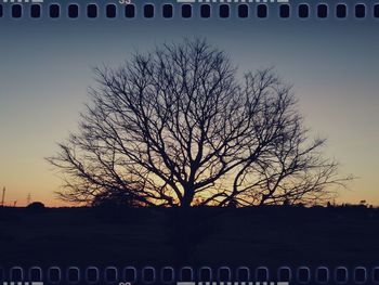 Silhouette tree against sky during sunset