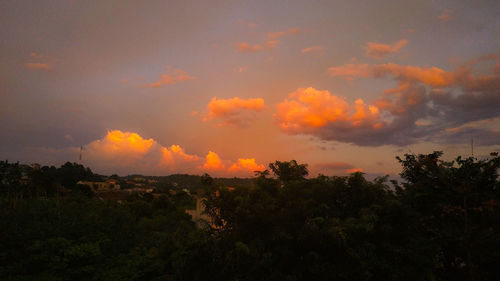 Scenic view of silhouette trees against sky during sunset