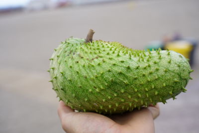 Close-up of hand holding fruit