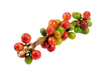 Close-up of tomatoes against white background