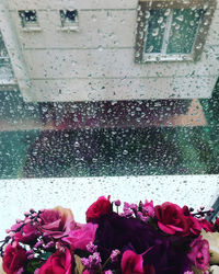 Close-up of wet pink flowers on window during rainy season