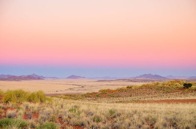 Landscape with mountain range in background