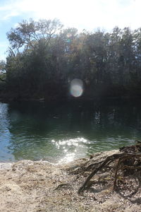 Scenic view of river in forest against sky