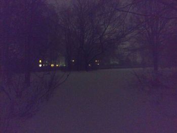 Bare trees against sky at night during winter