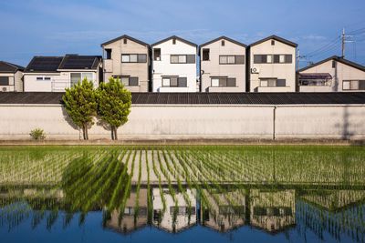 Reflection of building on rice field against sky