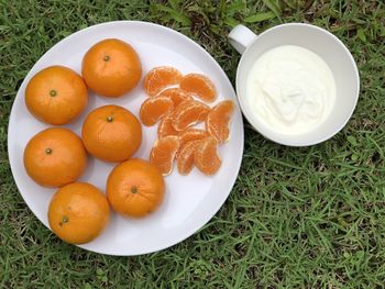 High angle view of fruits in bowl on table