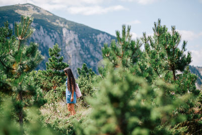 Close-up of plants and trees against mountains