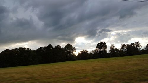 Trees on field against cloudy sky