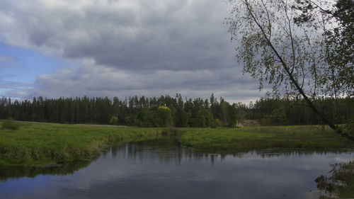 Scenic view of lake by trees against sky